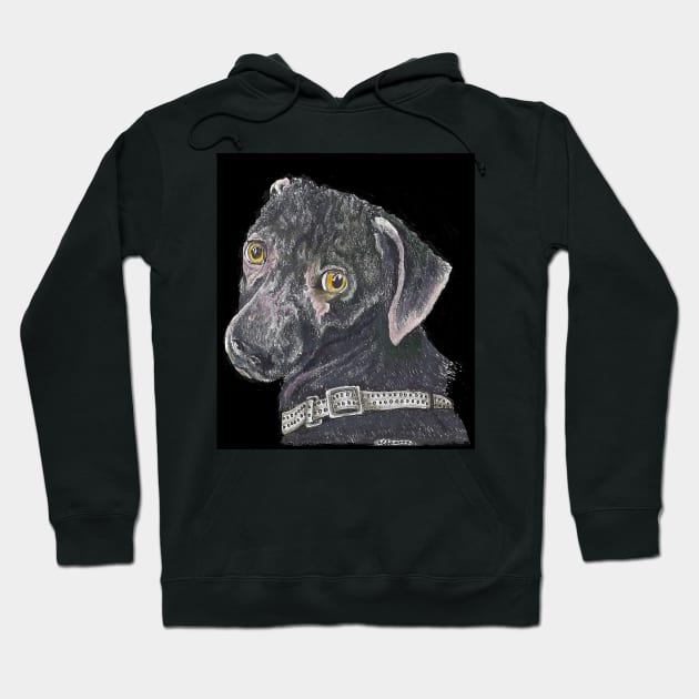 North, the fashion model dog Hoodie by Dr. Mary